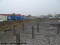 Imagine atasata: Vivalia - Bulbuca - 2015.11.08 - 10.jpg